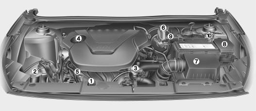 1. Engine coolant reservoir