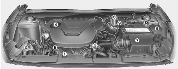 * The actual engine room in the vehicle may differ from the illustration.