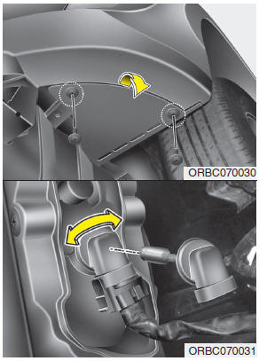 Front fog light bulbs