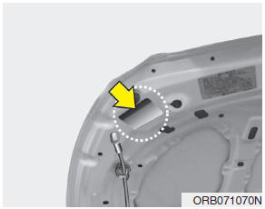 The refrigerant label is located on the underside of the hood.